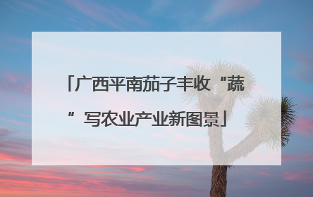 广西平南茄子丰收“蔬”写农业产业新图景