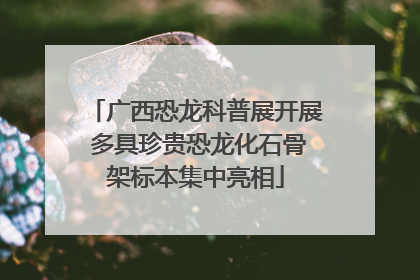 广西恐龙科普展开展 多具珍贵恐龙化石骨架标本集中亮相