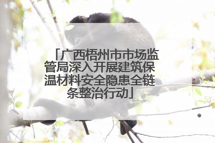 广西梧州市市场监管局深入开展建筑保温材料安全隐患全链条整治行动