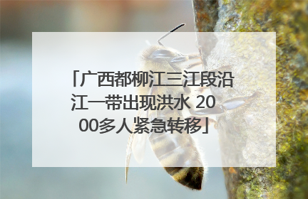广西都柳江三江段沿江一带出现洪水 2000多人紧急转移