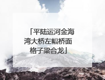 平陆运河金海湾大桥左幅桥面格子梁合龙