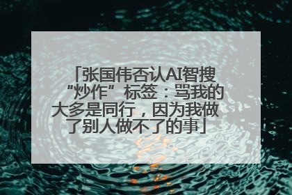 张国伟否认AI智搜“炒作”标签：骂我的大多是同行，因为我做了别人做不了的事