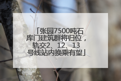 张园7500吨石库门建筑群将归位，轨交2、12、13号线站内换乘有望