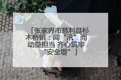 张家界市慈利县杉木桥镇：闻“汛”而动显担当 齐心筑牢“安全堤”
