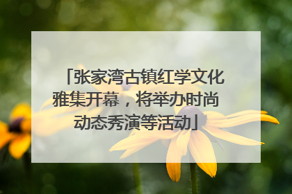 张家湾古镇红学文化雅集开幕，将举办时尚动态秀演等活动