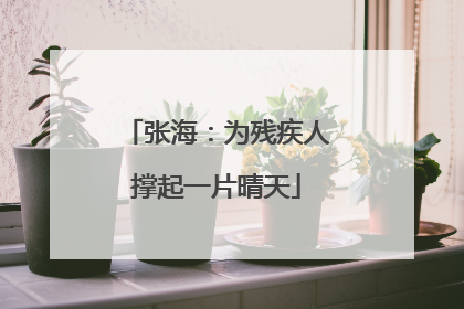 张海：为残疾人撑起一片晴天