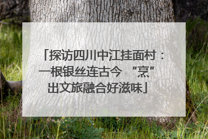 探访四川中江挂面村：一根银丝连古今 “烹”出文旅融合好滋味