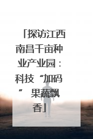 探访江西南昌千亩种业产业园：科技“加码” 果蔬飘香
