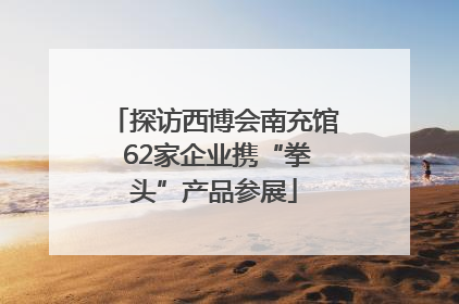 探访西博会南充馆 62家企业携“拳头”产品参展