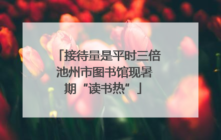 接待量是平时三倍 池州市图书馆现暑期“读书热”
