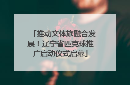 推动文体旅融合发展！辽宁省匹克球推广启动仪式启幕