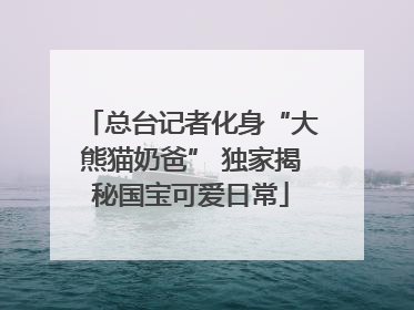 总台记者化身“大熊猫奶爸” 独家揭秘国宝可爱日常