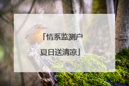 情系监测户 夏日送清凉