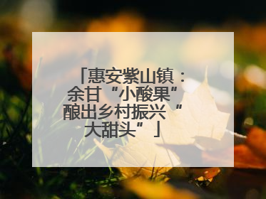惠安紫山镇：余甘“小酸果”酿出乡村振兴“大甜头”