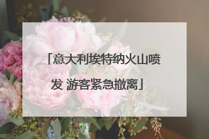 意大利埃特纳火山喷发 游客紧急撤离