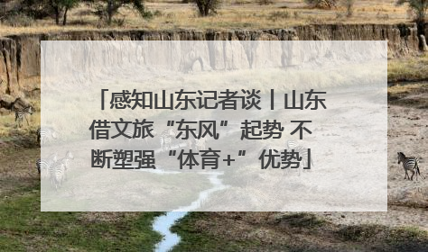 感知山东记者谈丨山东借文旅“东风”起势 不断塑强“体育+”优势