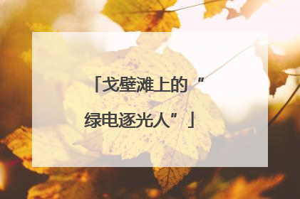 戈壁滩上的“绿电逐光人”