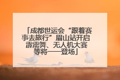 成都世运会“跟着赛事去旅行”眉山站开启 霹雳舞、无人机大赛等将一一登场