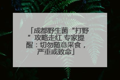 成都野生菌“打野”攻略走红 专家提醒：切勿随意采食，严重或致命