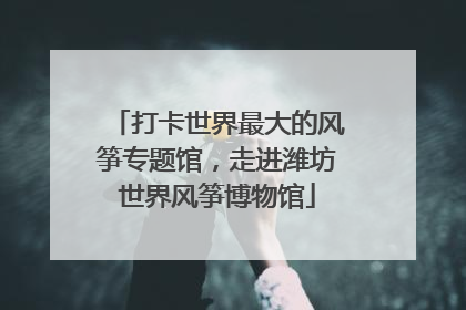 打卡世界最大的风筝专题馆，走进潍坊世界风筝博物馆