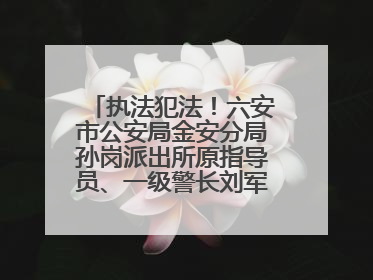 执法犯法！六安市公安局金安分局孙岗派出所原指导员、一级警长刘军被“双开”