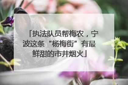 执法队员帮梅农，宁波这条“杨梅街”有最鲜甜的市井烟火