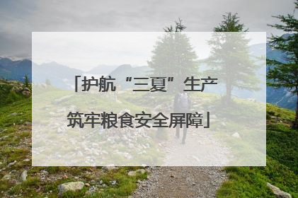护航“三夏”生产 筑牢粮食安全屏障
