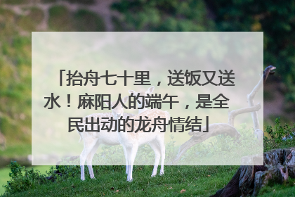 抬舟七十里，送饭又送水！麻阳人的端午，是全民出动的龙舟情结