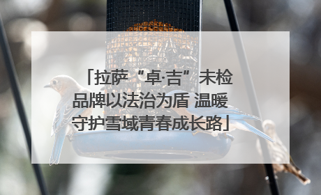 拉萨“卓·吉”未检品牌以法治为盾 温暖守护雪域青春成长路