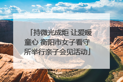 持微光成炬 让爱暖童心 衡阳市女子看守所举行亲子会见活动
