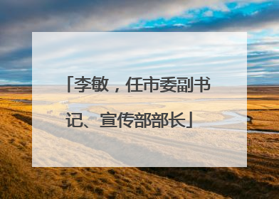 李敏，任市委副书记、宣传部部长