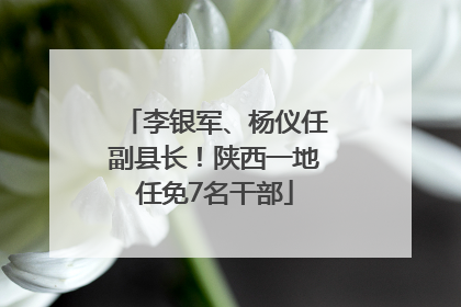 李银军、杨仪任副县长！陕西一地任免7名干部
