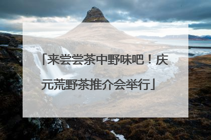 来尝尝茶中野味吧！庆元荒野茶推介会举行