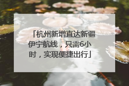 杭州新增直达新疆伊宁航线，只需6小时，实现便捷出行