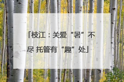 枝江：关爱“暑”不尽 托管有“趣”处