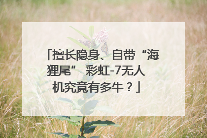 擅长隐身、自带“海狸尾” 彩虹-7无人机究竟有多牛？