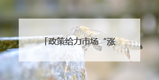 政策给力市场“涨”势喜人 “焕”出美好生活激活消费“一池春水”