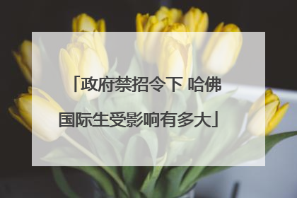 政府禁招令下 哈佛国际生受影响有多大