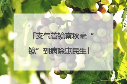 支气管镜察秋毫“镜”到病除惠民生