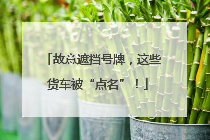 故意遮挡号牌，这些货车被“点名”！