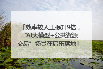 效率较人工提升9倍，“AI大模型+公共资源交易”场景在启东落地