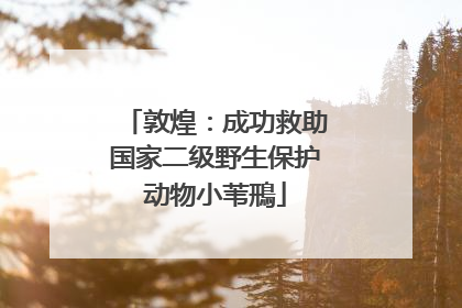 敦煌：成功救助国家二级野生保护动物小苇鳽