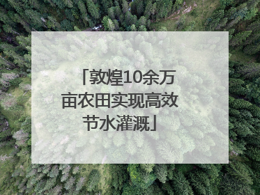 敦煌10余万亩农田实现高效节水灌溉