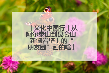 文化中国行丨从阿尔泰山到昆仑山 新疆岩壁上的“朋友圈”画的啥