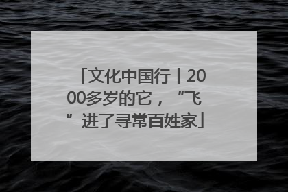 文化中国行丨2000多岁的它，“飞”进了寻常百姓家