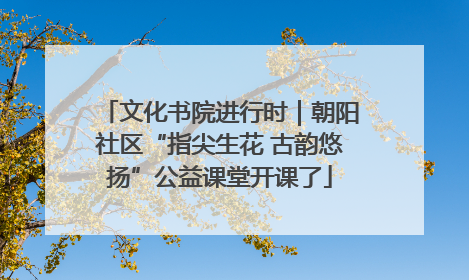 文化书院进行时｜朝阳社区“指尖生花 古韵悠扬”公益课堂开课了