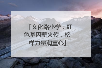 文化路小学：红色基因薪火传，榜样力量润童心