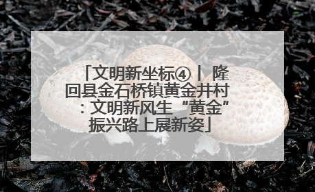 文明新坐标④丨 隆回县金石桥镇黄金井村：文明新风生“黄金” 振兴路上展新姿