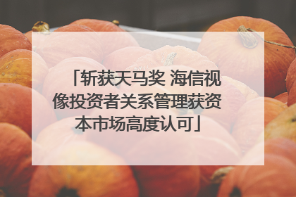 斩获天马奖 海信视像投资者关系管理获资本市场高度认可