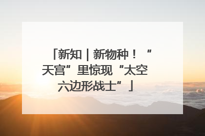 新知｜新物种！“天宫”里惊现“太空六边形战士”
